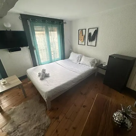 La Plume D'or Apartment Saint-Etienne (Loire)